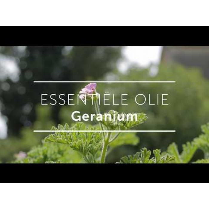Geranium olie, - Chi Life