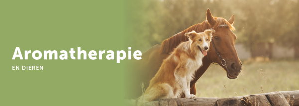 Aromatherapie & Dieren